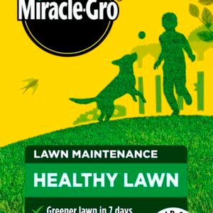 Healthy Lawn
