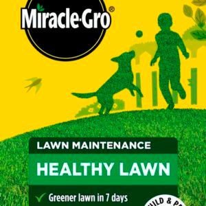 Healthy Lawn