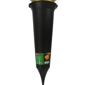 Black Grave Spike - Gold Script