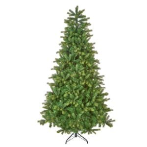 Barneswood Spruce Tree - 1.8m