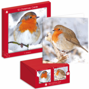 Square Christmas Cards Pack 10 - Robins