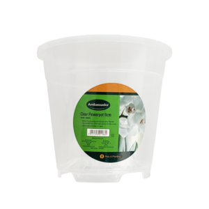 Clear Flowerpot
