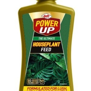 The Ultimate Houseplant Feed