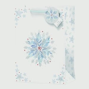 Large Gift Bag