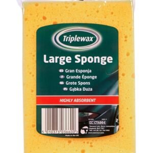 Large Sponge
