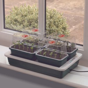 Fab 4 Electric Propagator - Green