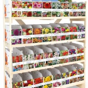 Summer Bulb Collection