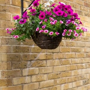 Willow Hanging Basket