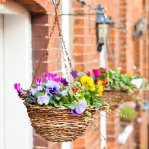 Rattan Hanging Basket