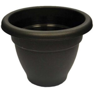 Round Bell Pot